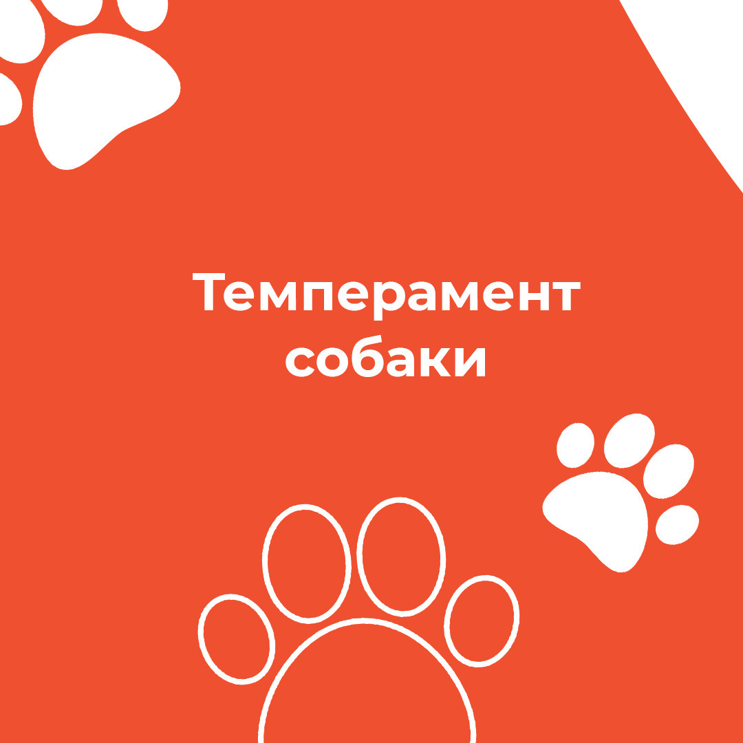 Instagram. Рекламное агентство в Германии