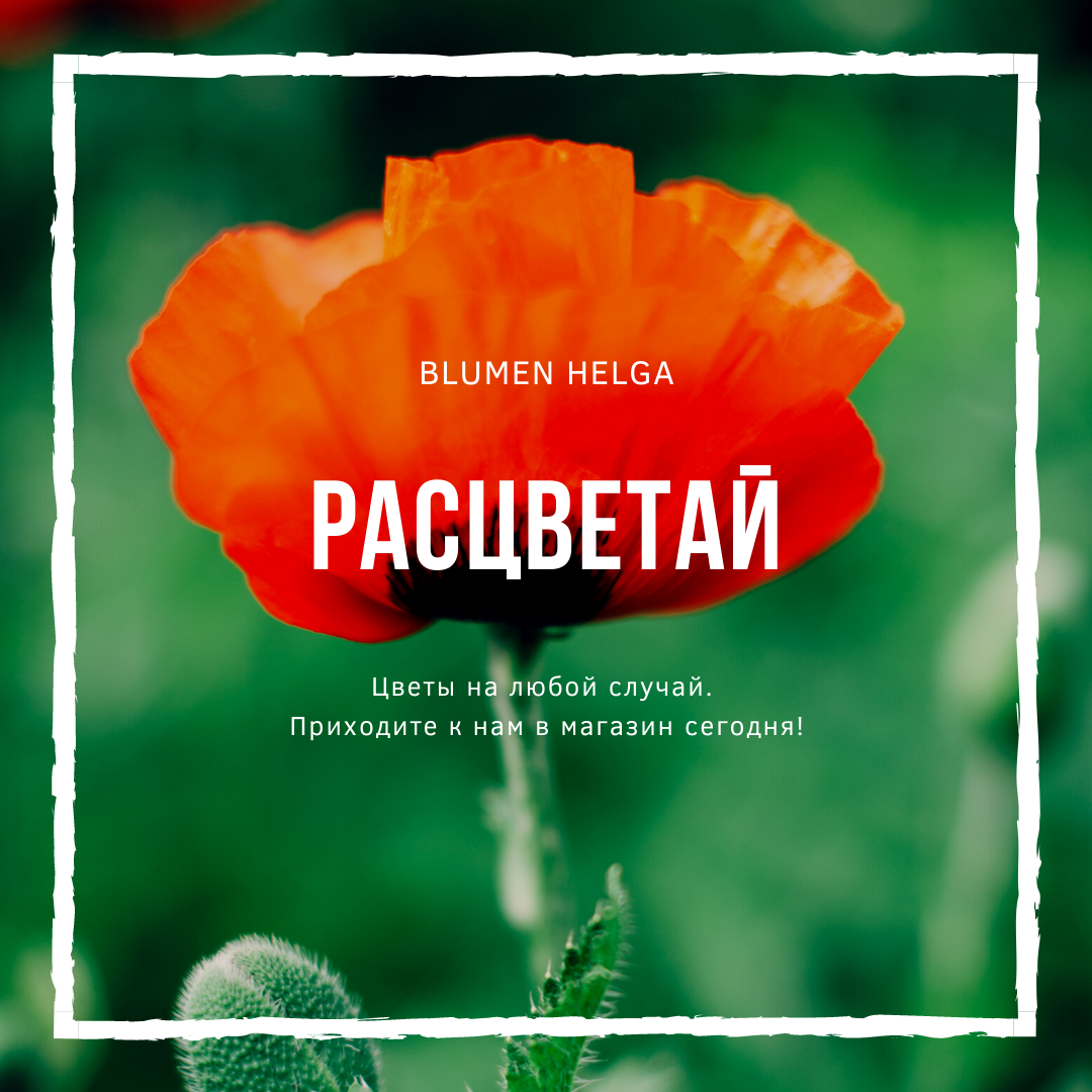 Instagram. Рекламное агентство в Германии