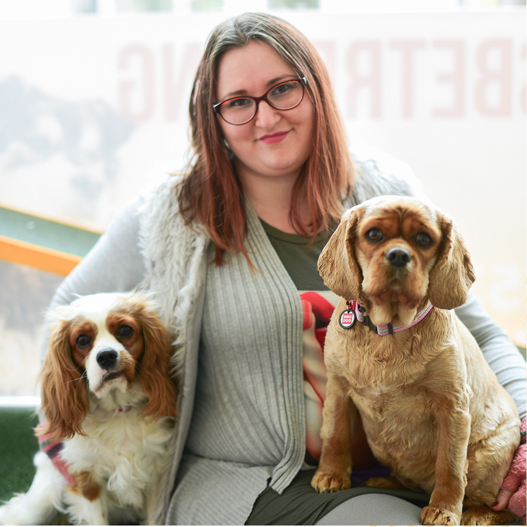 Instagram. Рекламное агентство в Германии