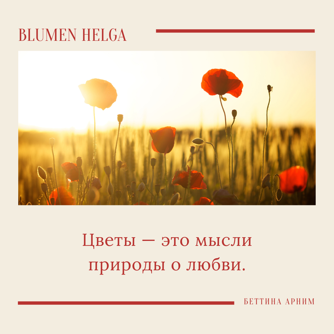 Instagram. Рекламное агентство в Германии