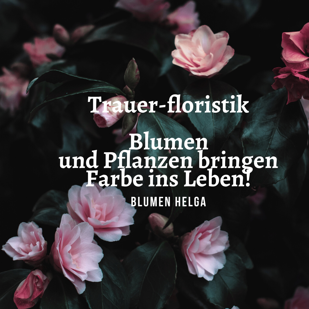 Instagram. Рекламное агентство в Германии