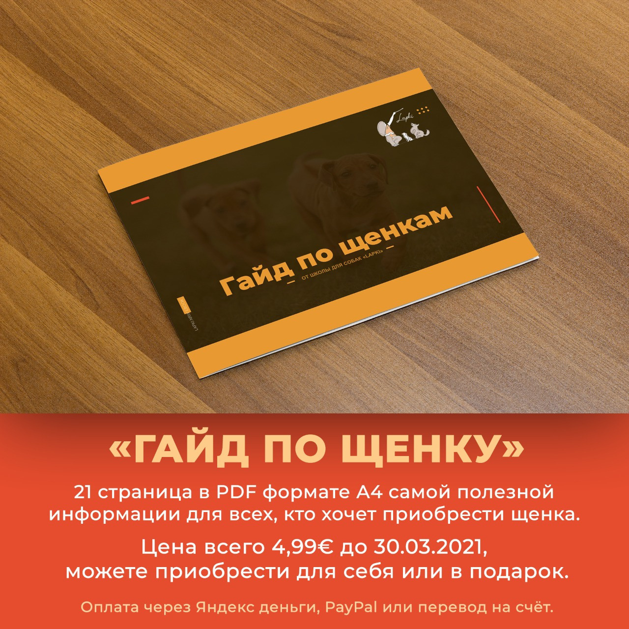 Буклеты. Брошюры. Каталоги. Рекламное агентство в Германии