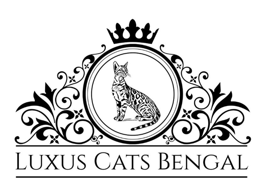 Логотипы. Рекламное агентство в Германии