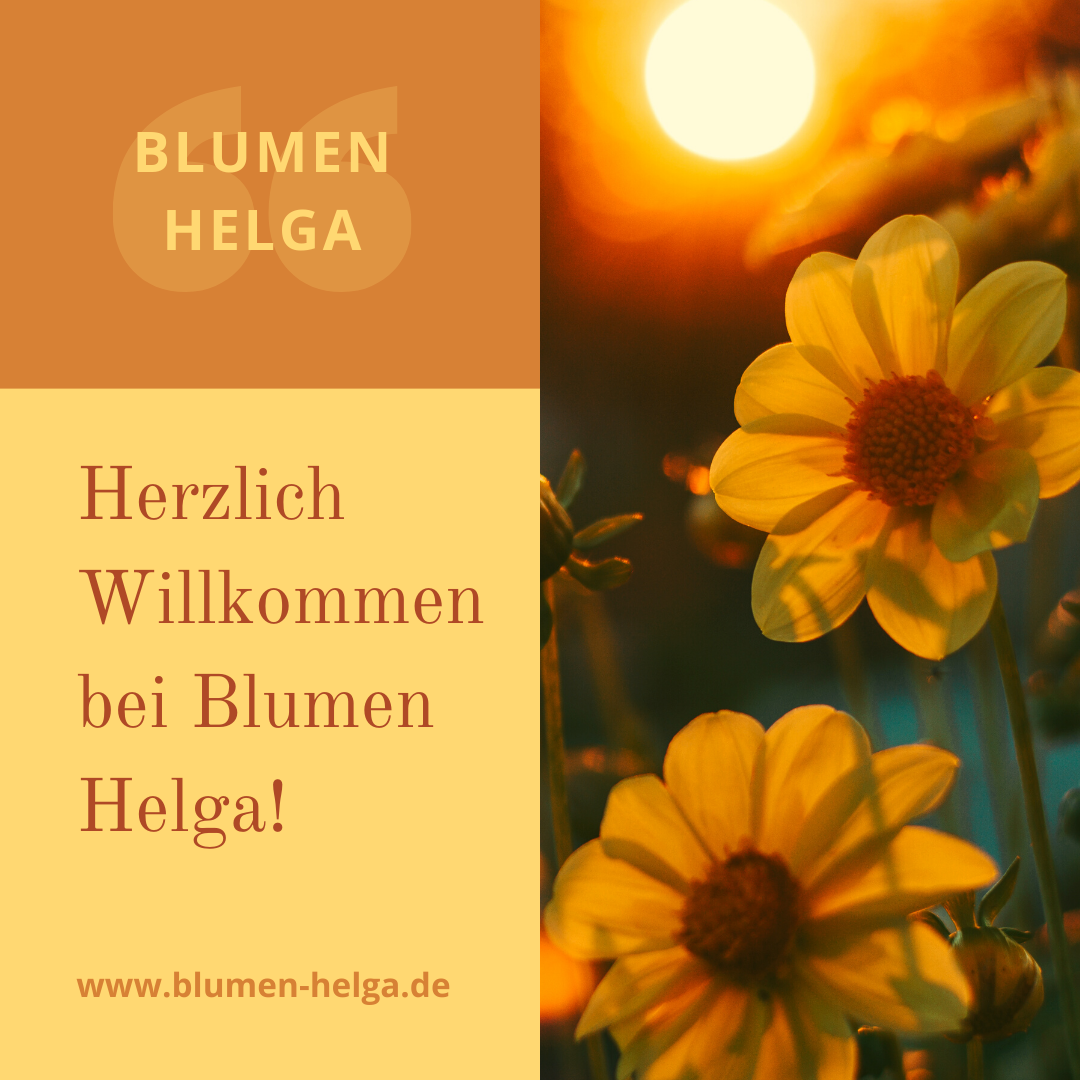 Instagram. Рекламное агентство в Германии