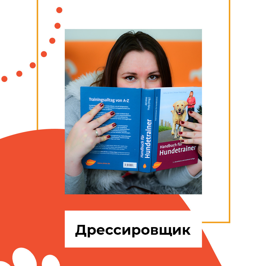 Instagram. Рекламное агентство в Германии