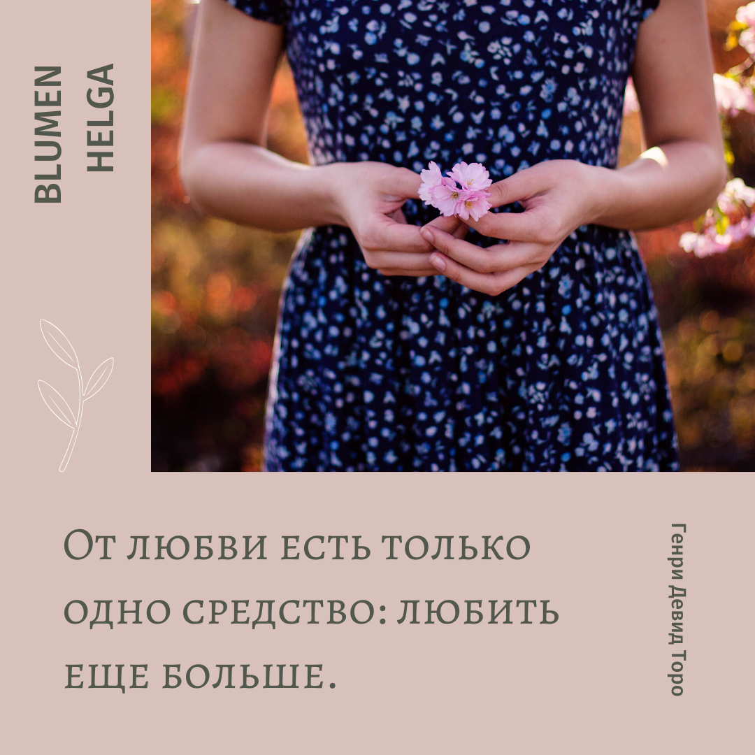 Instagram. Рекламное агентство в Германии