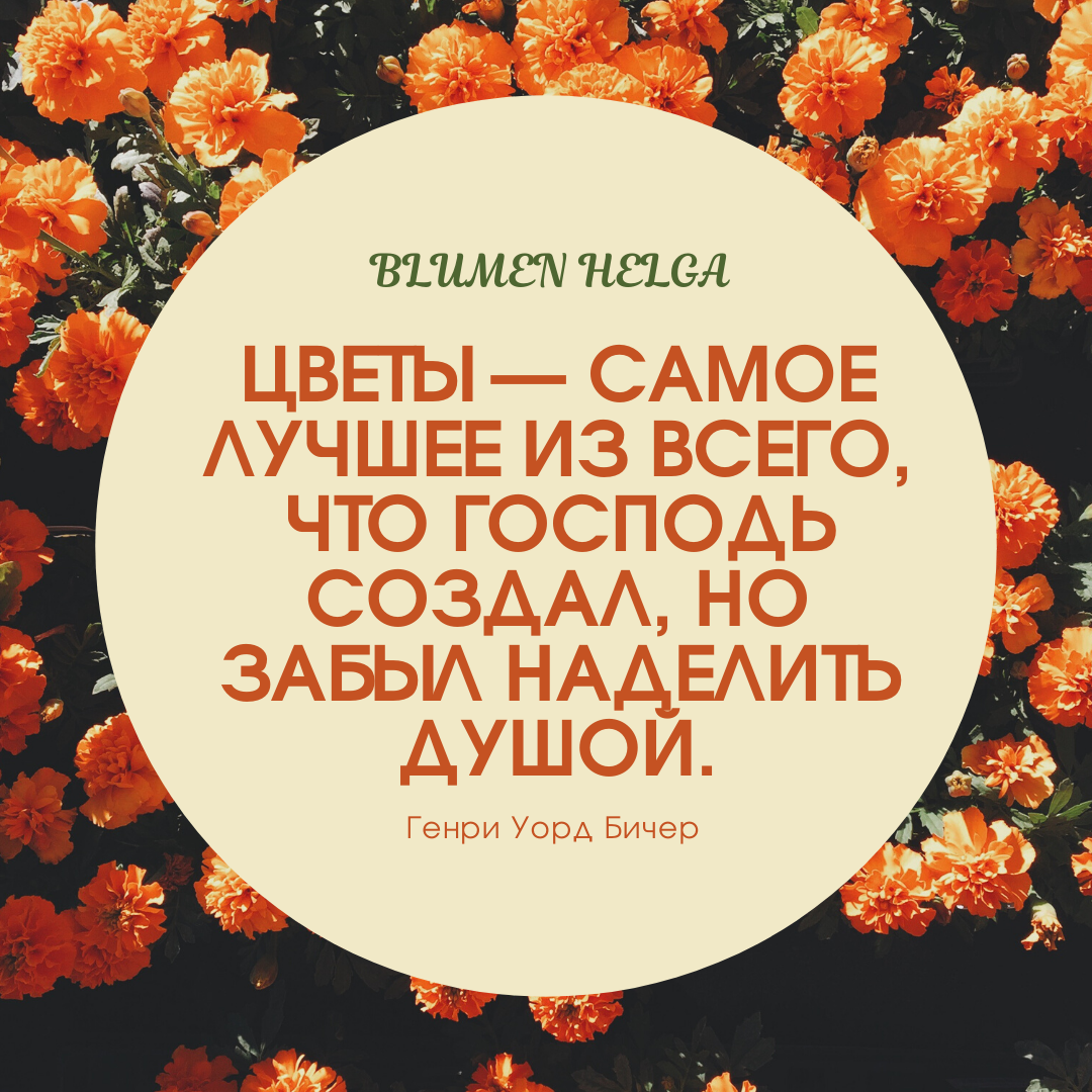 Instagram. Рекламное агентство в Германии