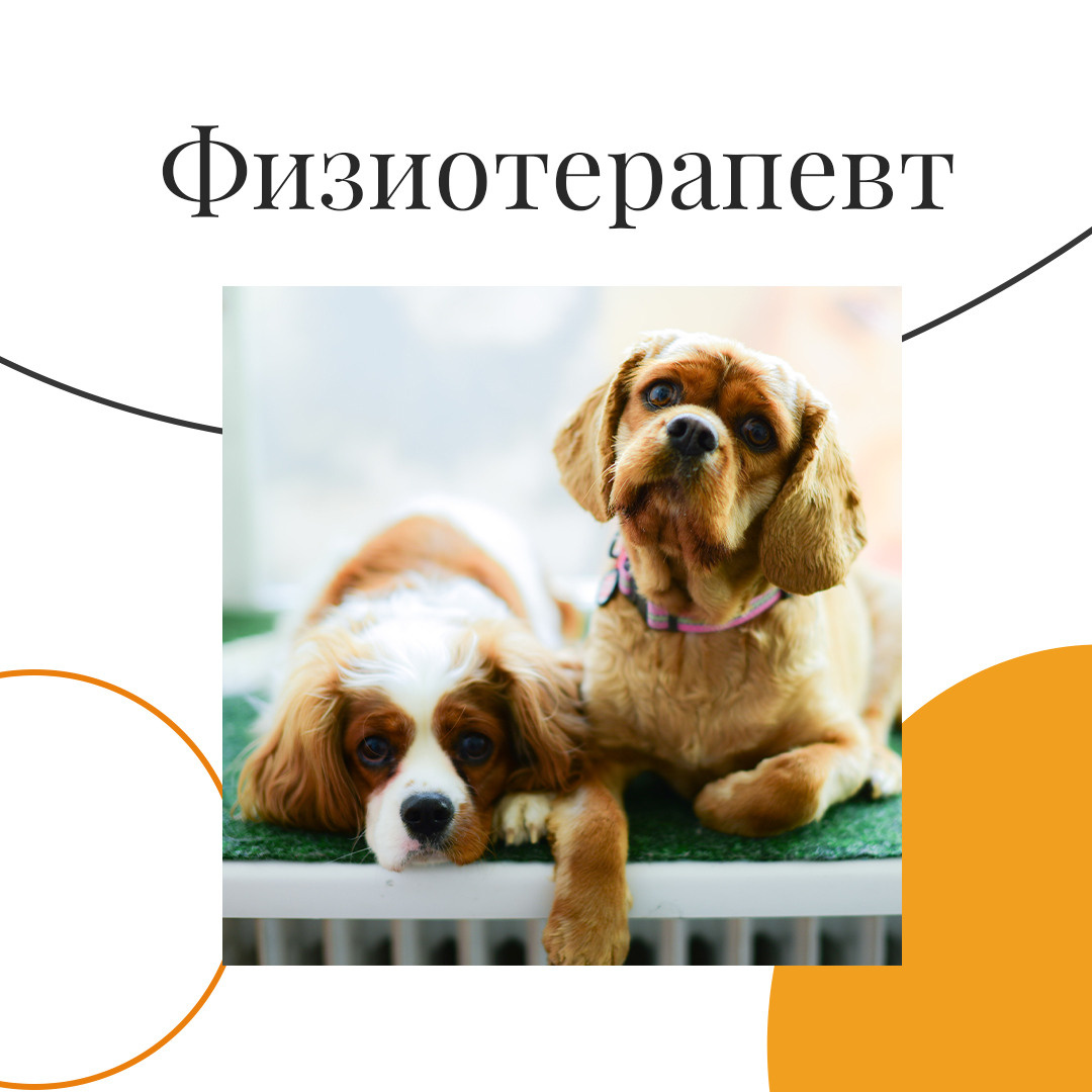 Instagram. Рекламное агентство в Германии