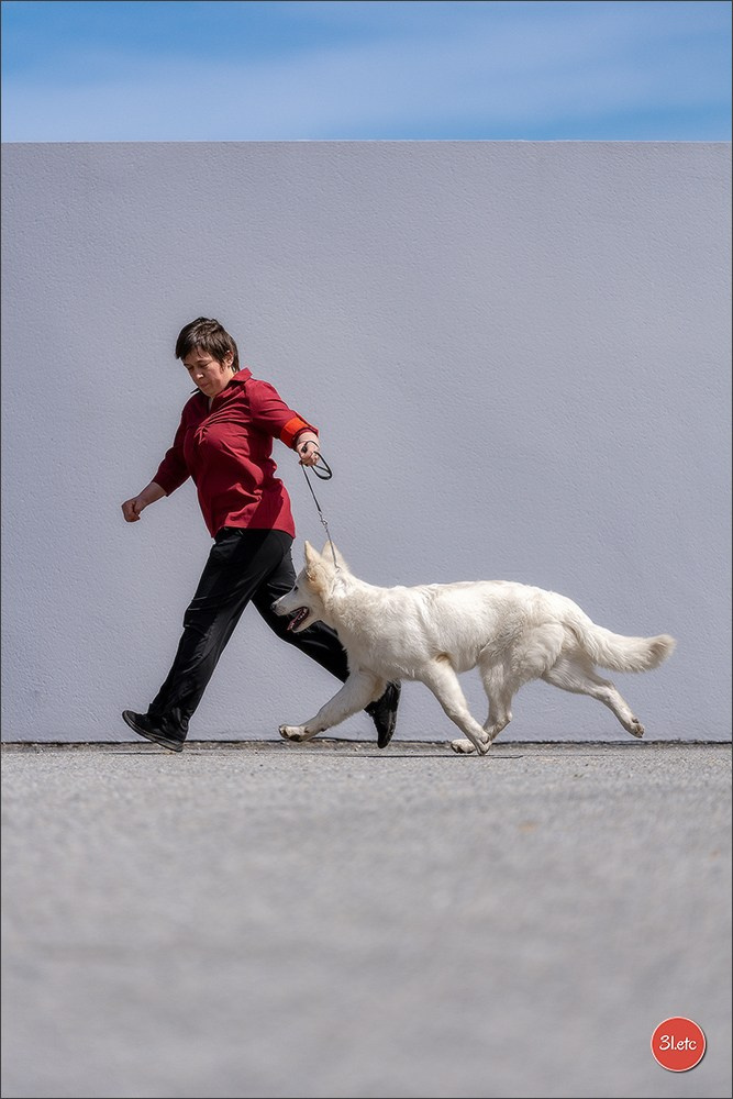 Expo canine 🇫🇷 Valence 02-03/05/2026