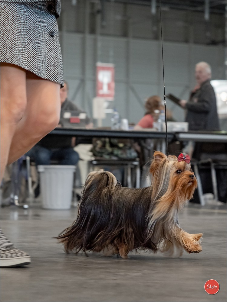 🇨🇭 Geneva 03-05.10.2025 🇨🇭. Photographe à Strasbourg | Portraits, Studio, Enfants, Événements