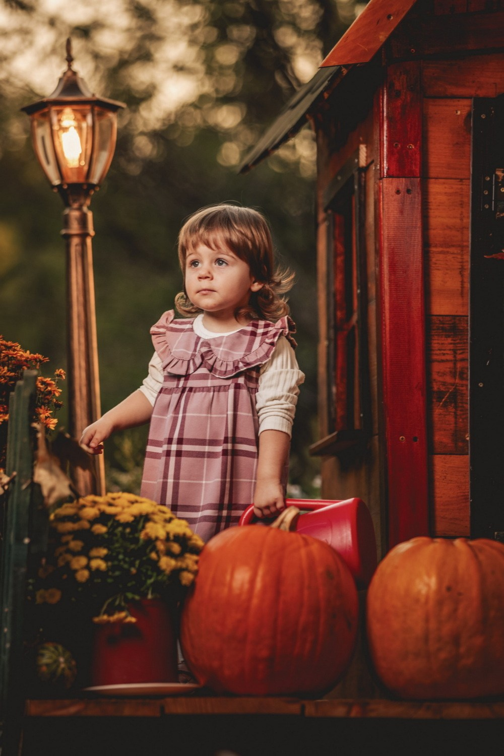 JESENJE FOTOGRAFISANJE. Fotografi iz Backog Petrovca David i Andrea Stojanovic