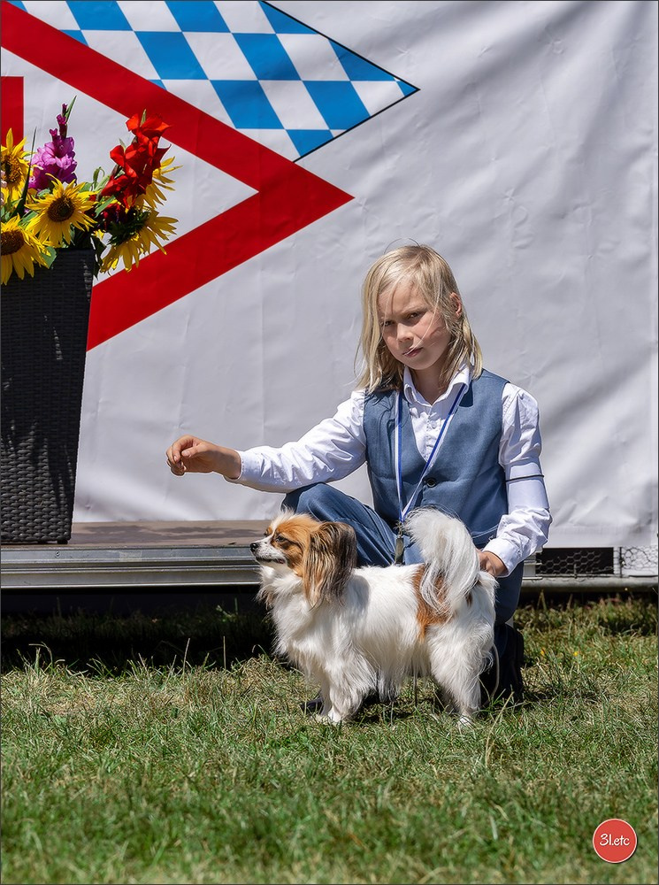 Dog Show - Hallbergmoos 🇩🇪 11-12/07/2026