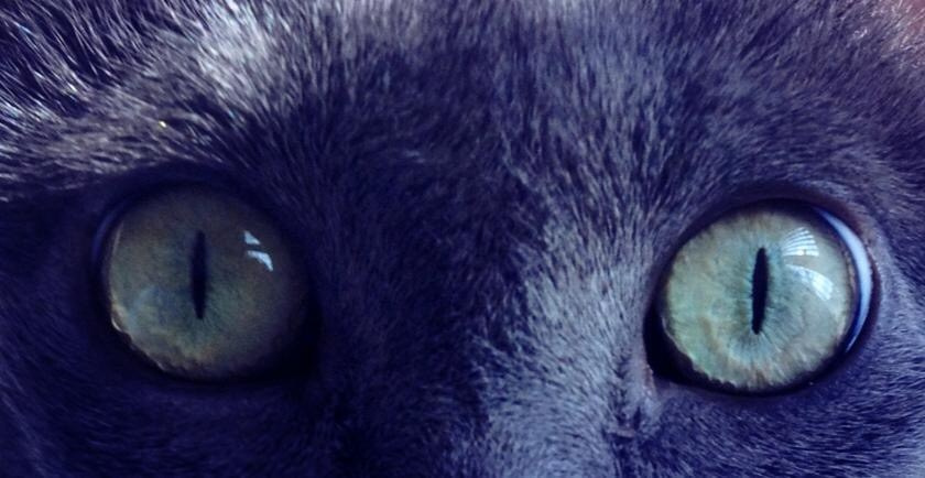 Mario Brown’s Lens Work