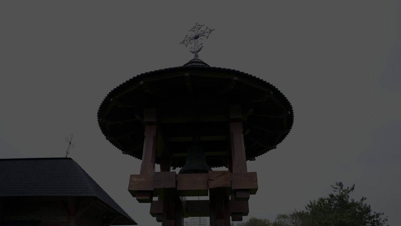 Recenzie. Www.stayscolor.md