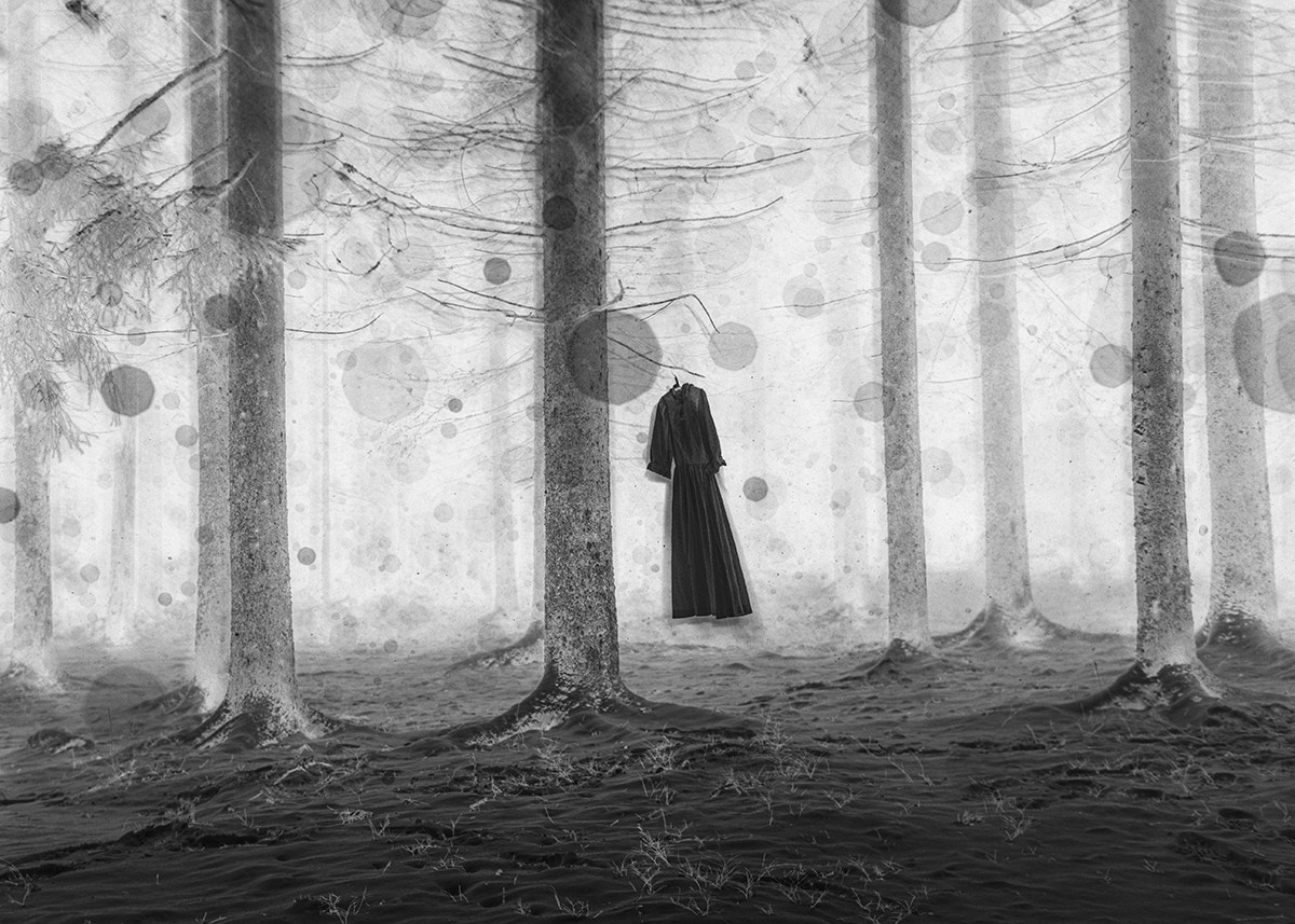 The Enchanted Forest. Oksana Zhila, Valokuvaaja, Suomi, Lahti, Mikkeli, Helsinki