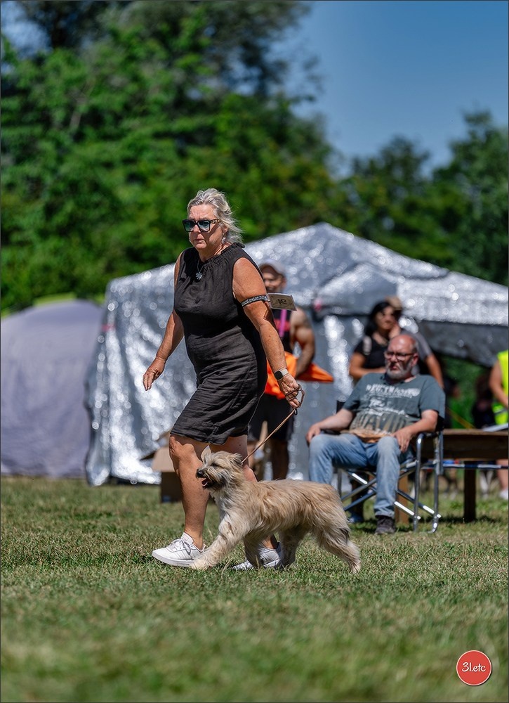 Dog Show - Hallbergmoos 🇩🇪 11-12/07/2026