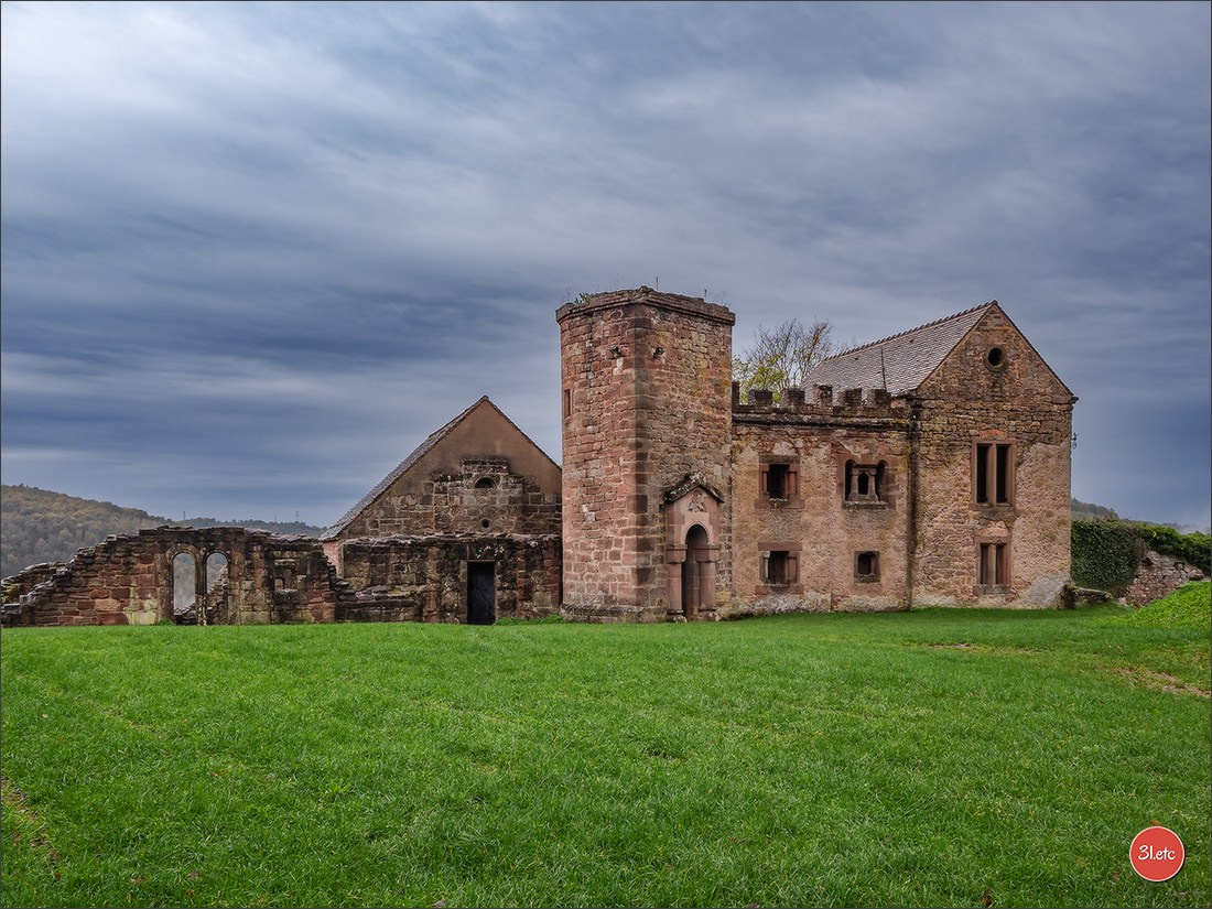 Ретрит в Эльзасе с Марией Ланг. Photographe à Strasbourg | Portraits, Studio, Enfants, Événements