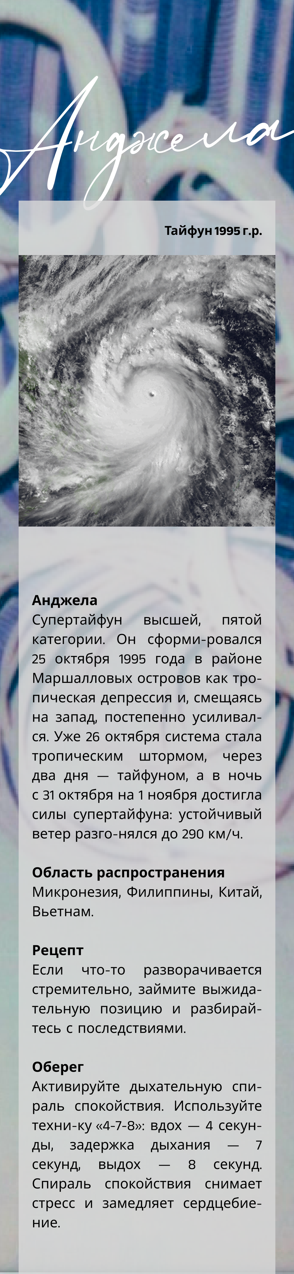 Spira mirabilis| Удивительная спираль. Alina Kugush