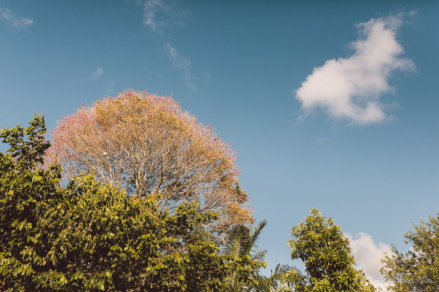 Casamento de Márcia e Marcos na Casa de Chá em Aldeia Pernambuco. Casamento ao ar livre. EntreOlhares Fotografia e Filmagem de Casamentos em Recife/PE e João Pessoa/PB — Momentos únicos eternizados com sensibilidade