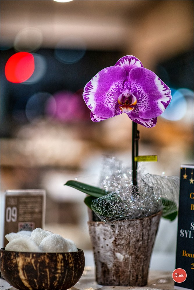 New Year 2025 in Manicook restraunt. Photographe à Strasbourg | Portraits, Studio, Enfants, Événements