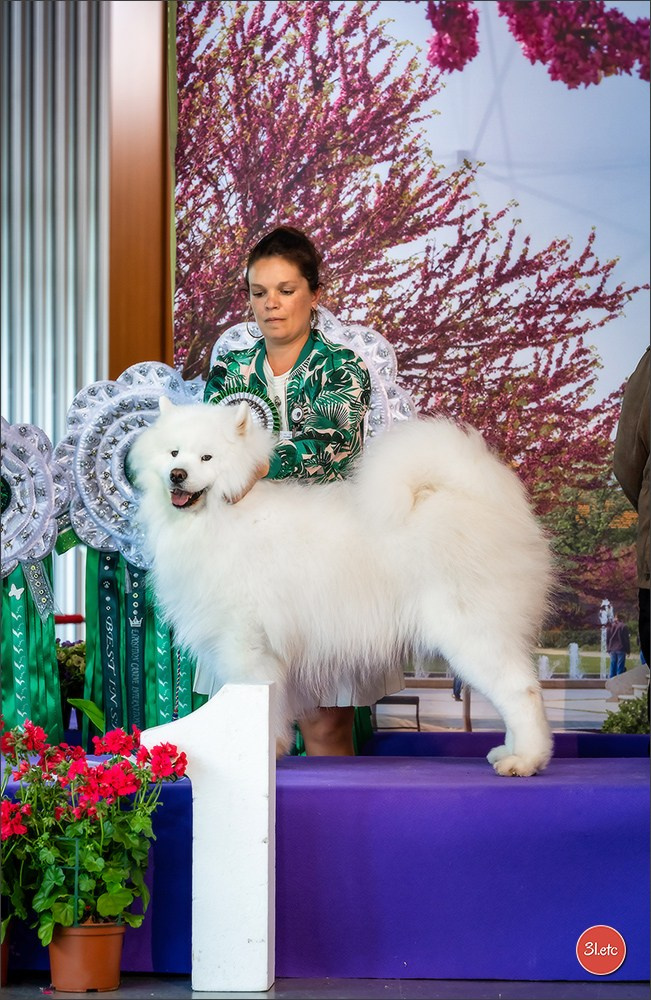 Expo canine 🇫🇷 Valence 02-03/05/2026