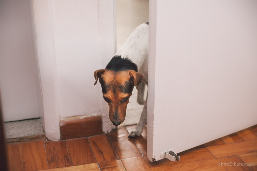 Casamento de Márcia e Marcos na Casa de Chá em Aldeia Pernambuco. Casamento ao ar livre. EntreOlhares Fotografia e Filmagem de Casamentos em Recife/PE e João Pessoa/PB — Momentos únicos eternizados com sensibilidade