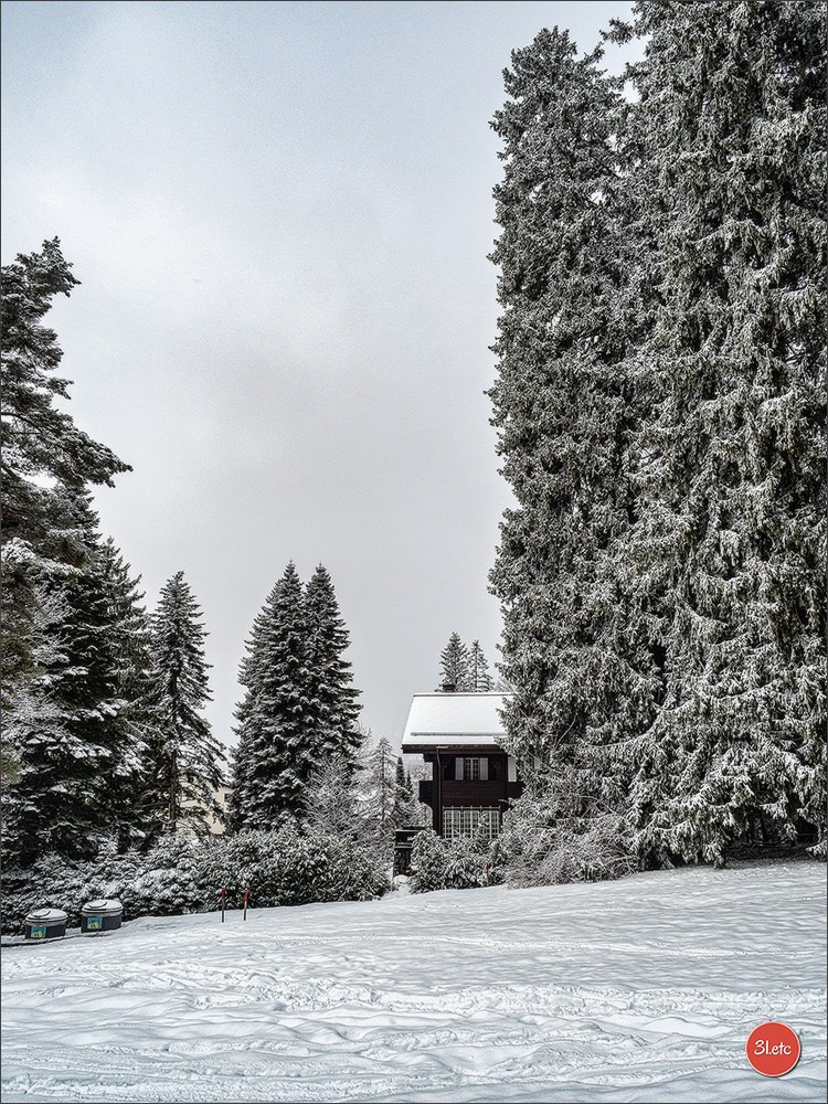 Swiss. Photographe à Strasbourg | Portraits, Studio, Enfants, Événements