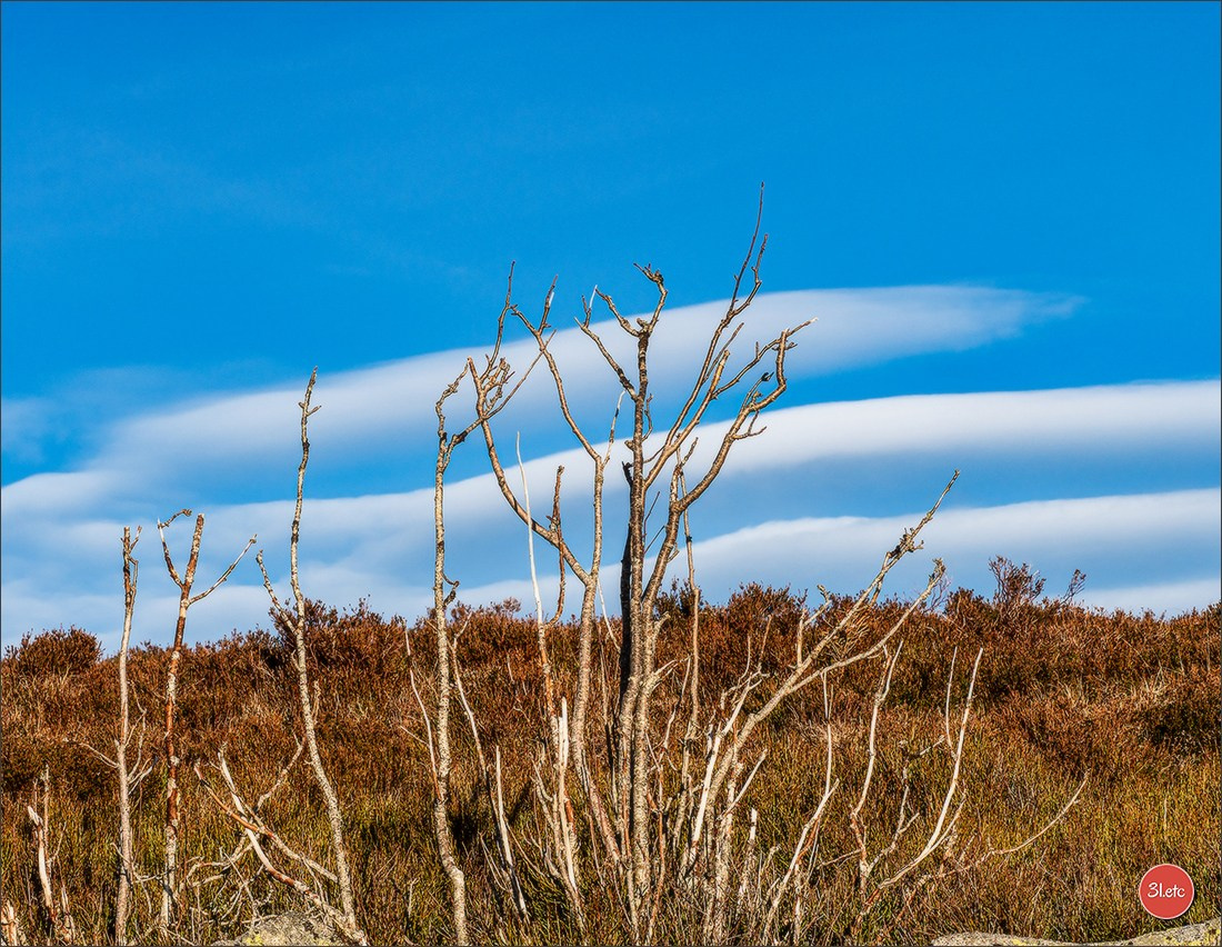Balade dans les Vosges. Photographe à Strasbourg | Portraits, Studio, Enfants, Événements