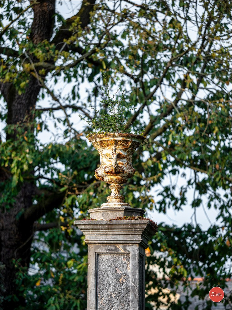 Angers  🇫🇷. Photographe à Strasbourg | Portraits, Studio, Enfants, Événements