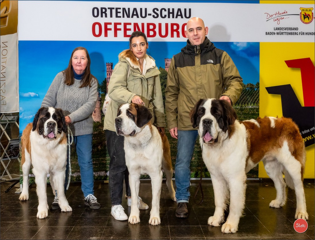 🇩🇪 Offenburg International Dogshow 15-16.03.25 🇩🇪. Photographe à Strasbourg | Portraits, Studio, Enfants, Événements