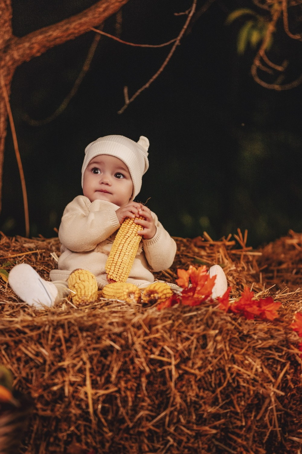 JESENJE FOTOGRAFISANJE. Fotografi iz Backog Petrovca David i Andrea Stojanovic