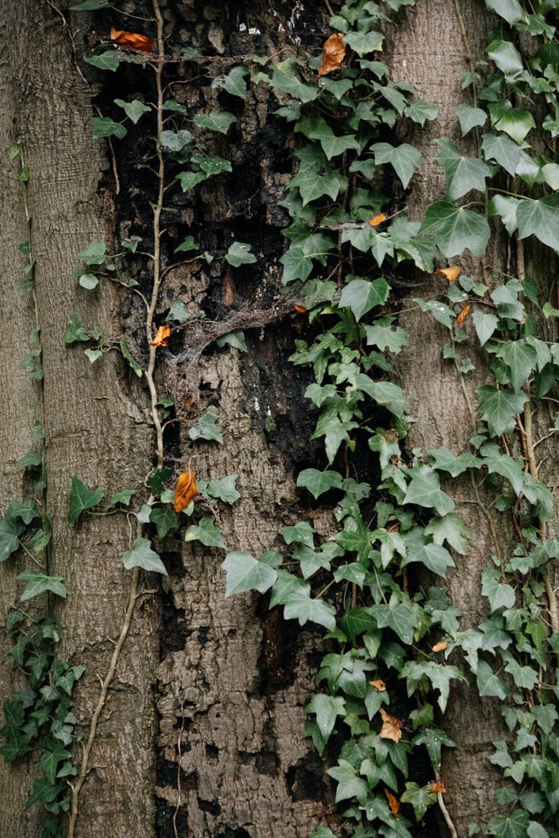 R & J Netherlands. Свадебный фотограф в Нидерландах и Европе — Тина Ялóва