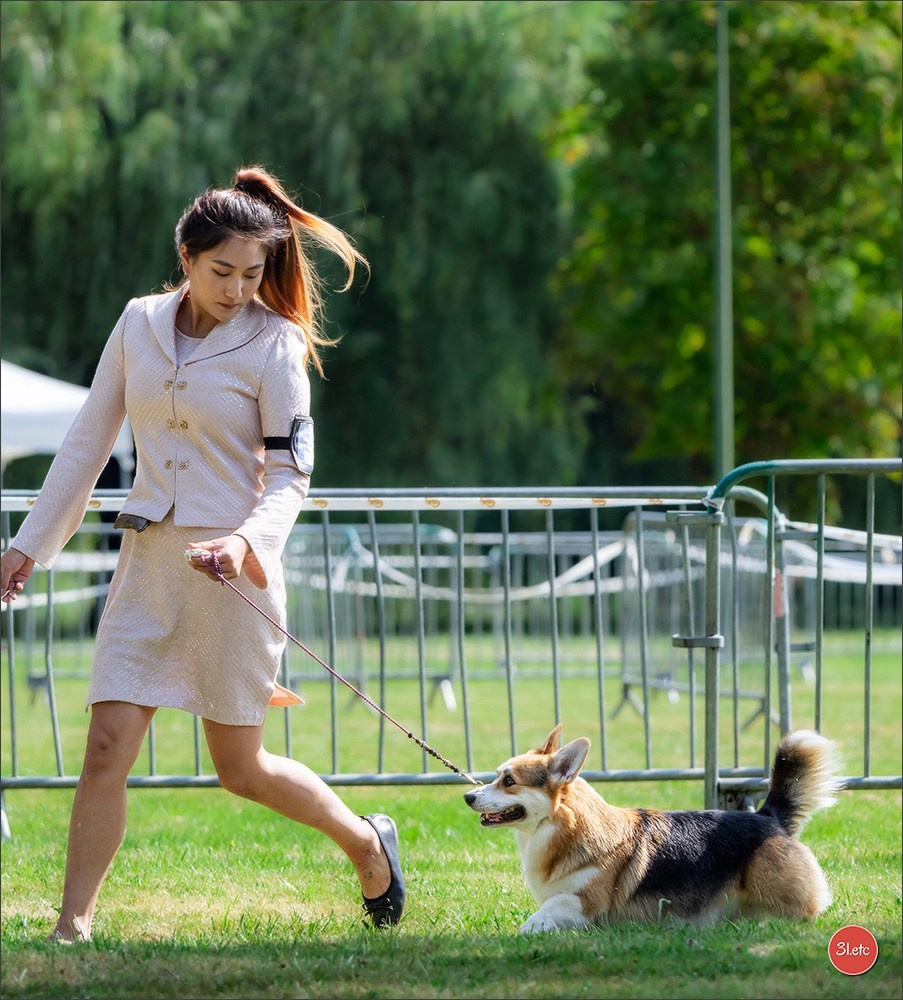 🇫🇷 Romorantin - Exposition Canine Nationale. Photographe à Strasbourg | Portraits, Studio, Enfants, Événements