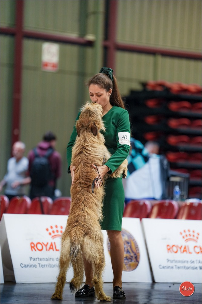 Expo canine 🇫🇷 Martigues 18-19/04/2026