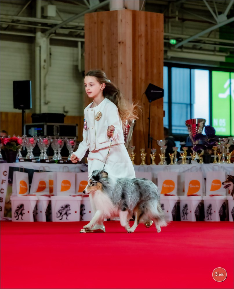 PDS  🇫🇷  Paris Dog Show  🇫🇷  Expo canine  10-11/01/2026. Photographe à Strasbourg | Portraits, Studio, Enfants, Événements