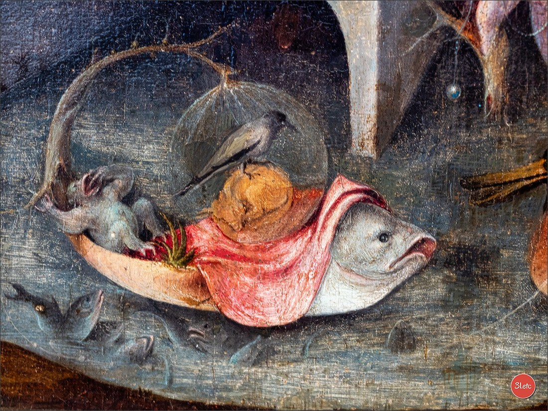 Chateauroux 🇫🇷. Photographe à Strasbourg | Portraits, Studio, Enfants, Événements