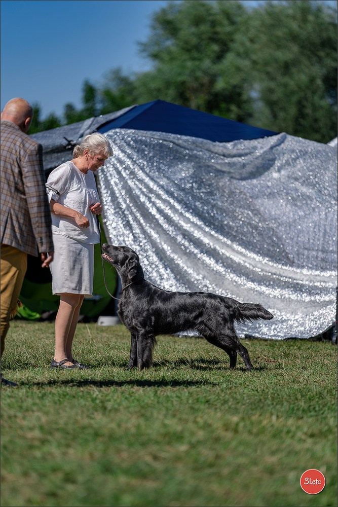 Dog Show - Hallbergmoos 🇩🇪 11-12/07/2026