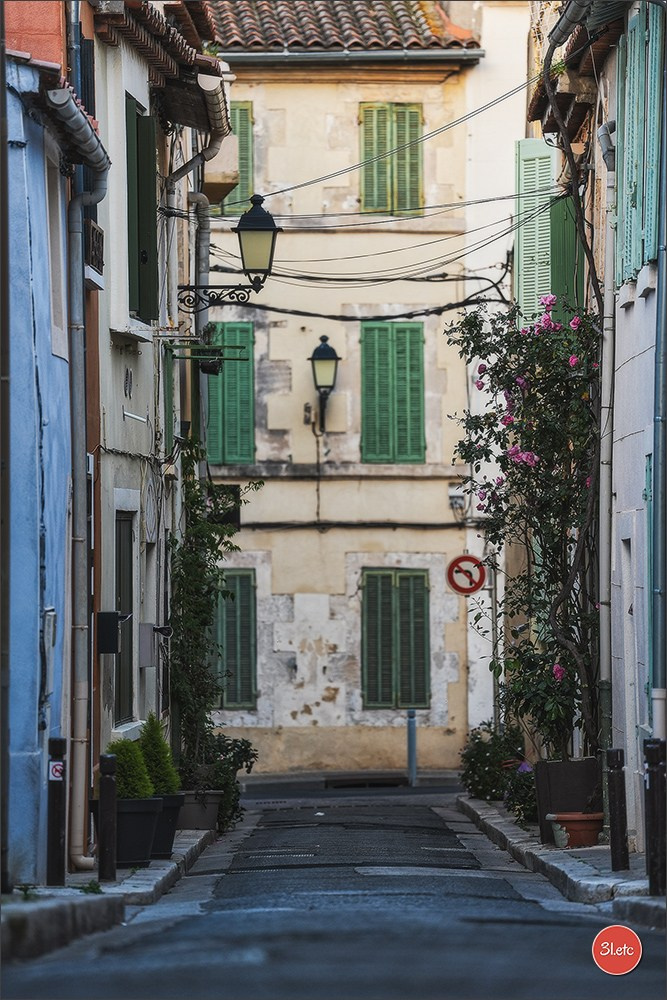 Martigues  🇫🇷. Photographe à Strasbourg | Les animaux, Portraits, Studio, Événements