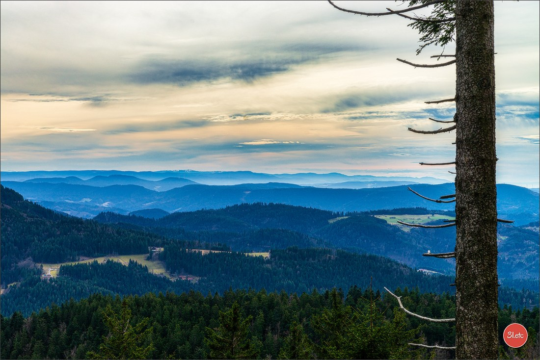 Randonnée en Forêt-Noire. Photographe à Strasbourg | Portraits, Studio, Enfants, Événements