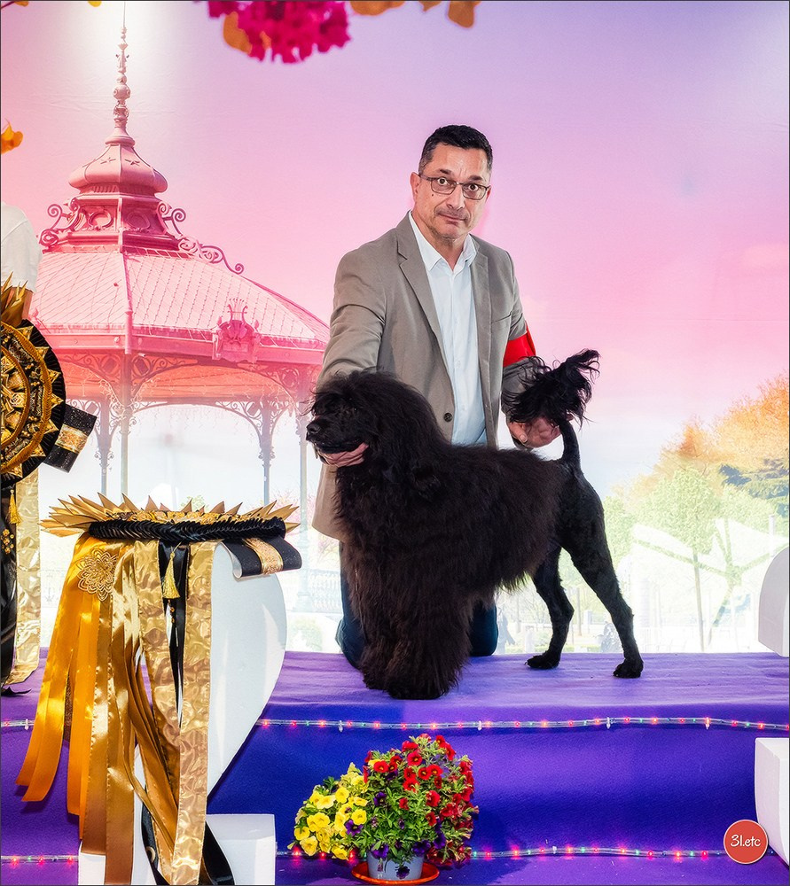 Expo canine 🇫🇷 Valence 03-04/05/2025. Photographe à Strasbourg | Portraits, Studio, Enfants, Événements