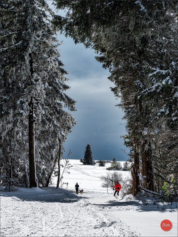 Temps étonnant fin avril en Alsace. Il a neigé. Photographe à Strasbourg | Portraits, Studio, Enfants, Événements