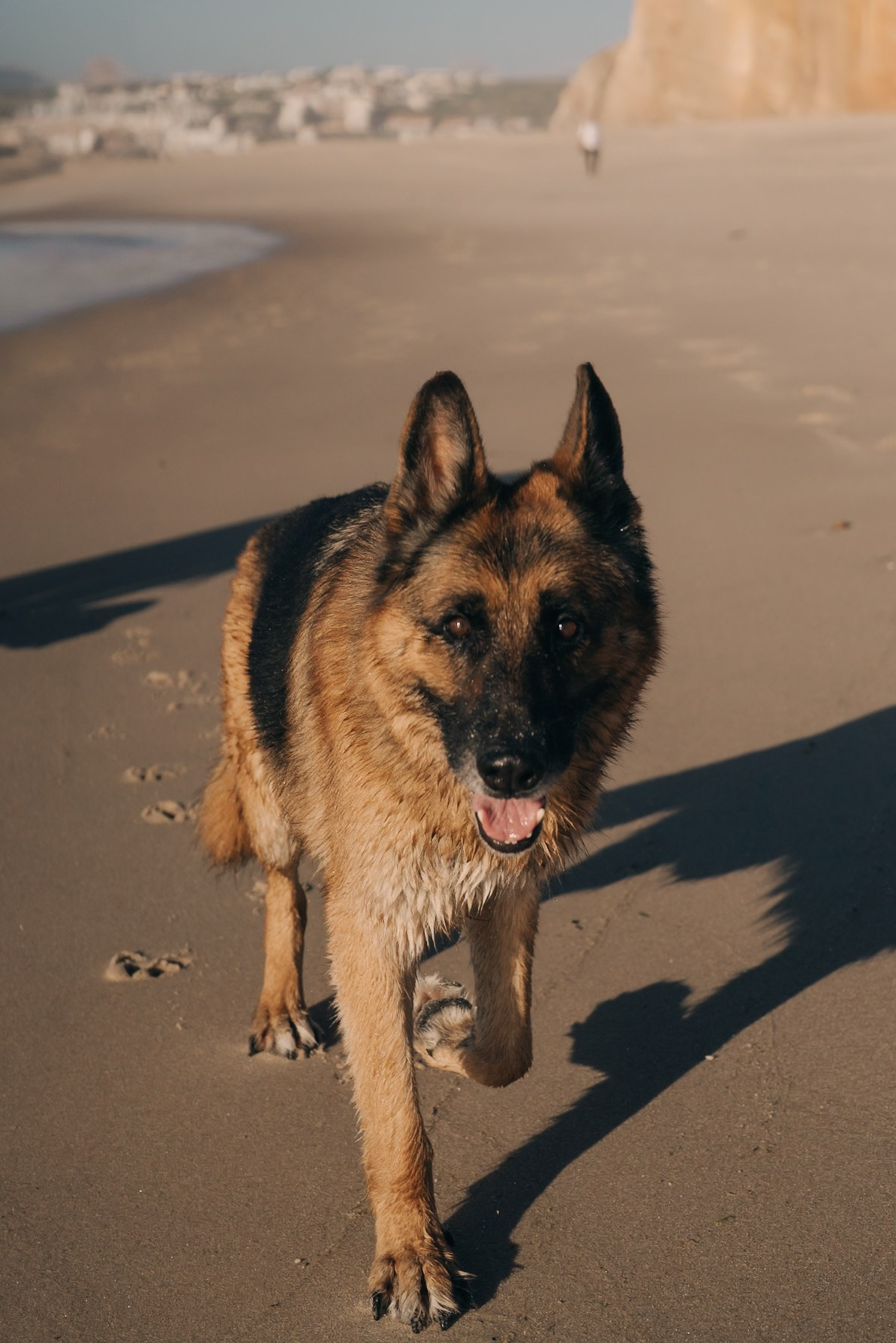 Aline e Eduardo. Fabio Barth | Foto e Filme de casamento