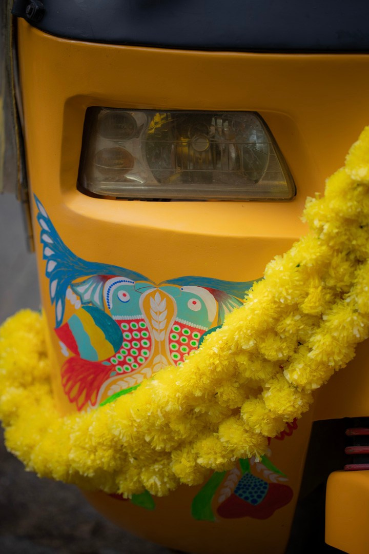 Krishna Janmashtami. Samid Ali