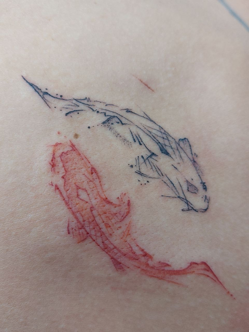 Tattoo. Permanent Make-up und Tattoo Artist in Wolfsburg-Gardelegen Anna Knaus