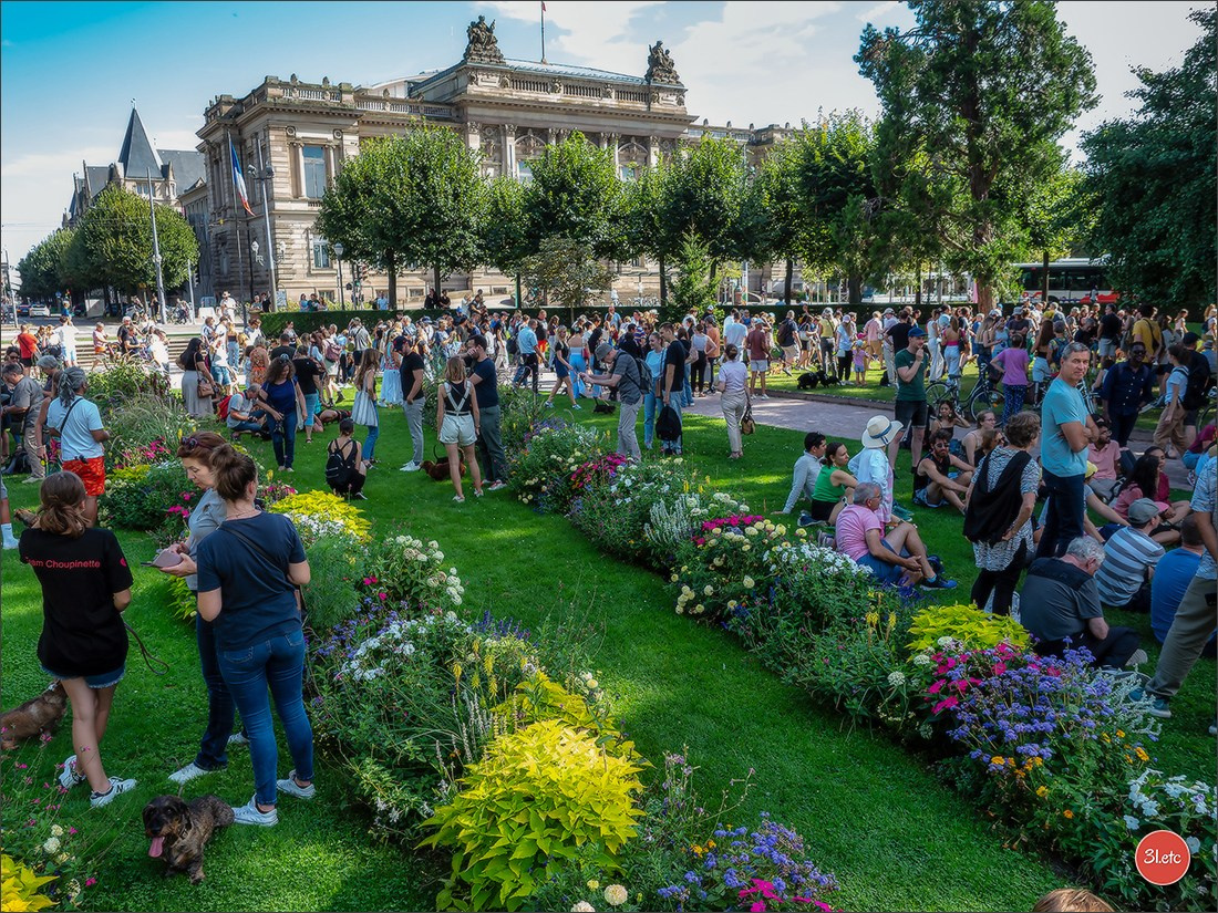 Teckels Parade Strasbourgeoise  Vous pouvez voir le galerie de photos. Photographe à Strasbourg | Portraits, Studio, Enfants, Événements