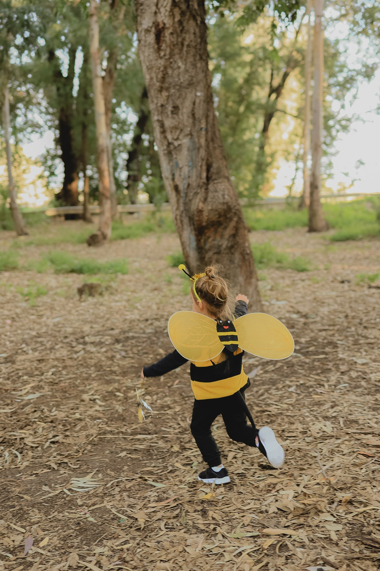 צילומי פורים בטבע. דף בית