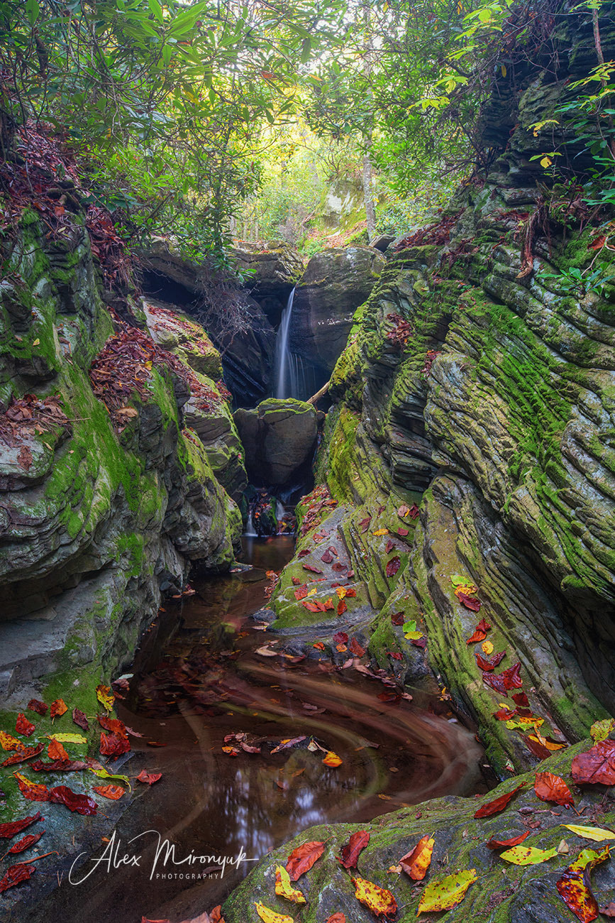 Fall Colors of Blue Ridge Parkway. Alex Mironyuk Photography