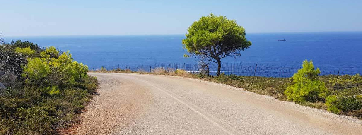 Weddings FAQ. Wedding, Maternity, Family photographer in Chingford London