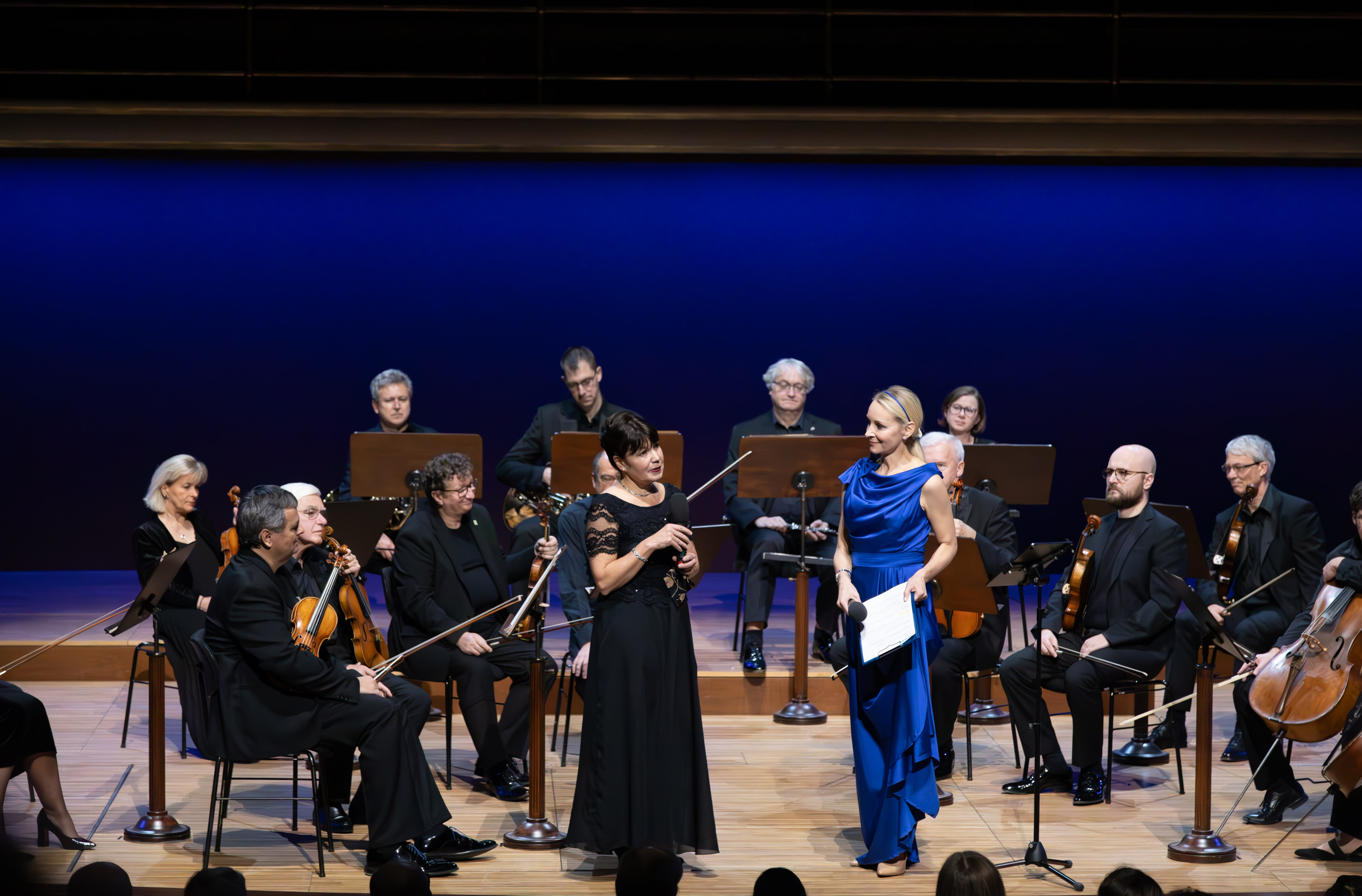 OPERA. Lero Photographer and a set designer|individual custom portrait and advertising photography in Zutphen