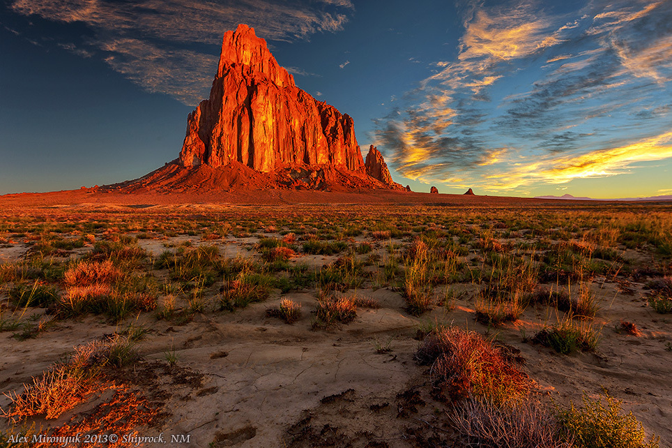 Itenerary. Pet, Senior, Landscape, portrait studio, photographer in Miami and Sou